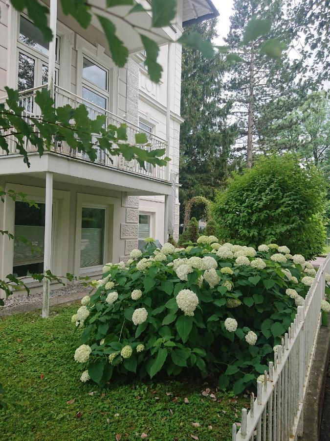 Ferienwohnung Barbarossa 巴特莱辛哈尔 外观 照片